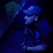 Tom Mendezs foto