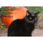 Marnie LaBonte's photo