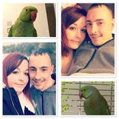 Jackson Davies's photo