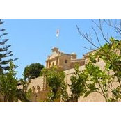Joseph Taliana's photo