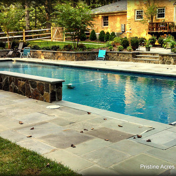 Pool Highlights