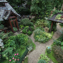 Landscape/Privacy