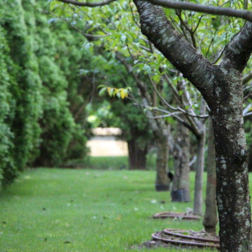 Halsey Farm Lane Southampton Village New York