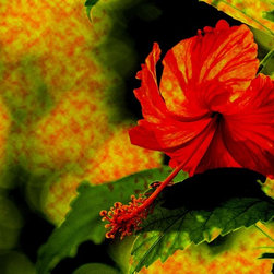 Fine Art Photography - Digital paintings - Products