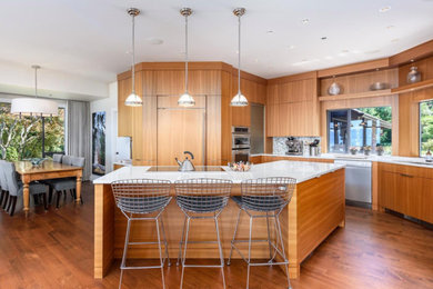 Inspiration for a modern kitchen remodel in Other