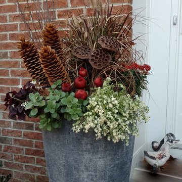 Festive Holiday Displays