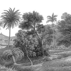 Jungle Land - Wallpaper