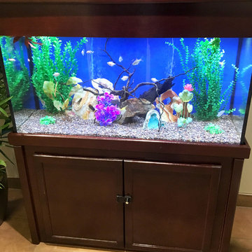 Custom Fish Tanks