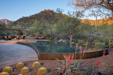 Example of a large southwest backyard stone and custom-shaped infinity pool design in Phoenix