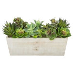 House of Silk Flowers, Inc. - Artificial Succulent Garden in White-Washed Wood Ledge - You will never have to worry about caring for your succulents again with this artificial succulent garden handcrafted by House of Silk Flowers. This arrangement features an assortment of succulents "potted" in a rustic washed wood planter (16" x 6" x 5 1/2" tall). The succulents have been arranged for 360*-viewing. The overall dimensions are measured leaf tip to leaf tip, from the bottom of the planter to the tallest leaf tip: 18" wide X 9" deep X 10" tall. Measurements are approximate, and will be determined by your final shaping of the plant upon unpacking it. No arranging is necessary, only minor shaping, with the way in which we package and ship our products. This product is only recommended for indoor use.