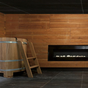 Sauna in basement