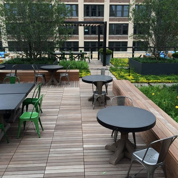 Chicago Shared Roof Deck
