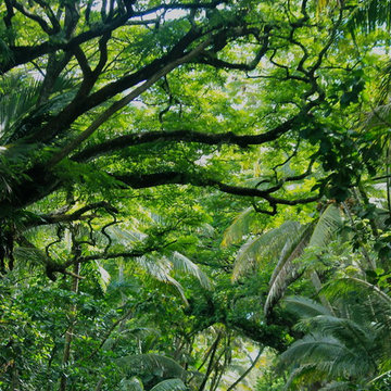 Big Island Botanical Retreat