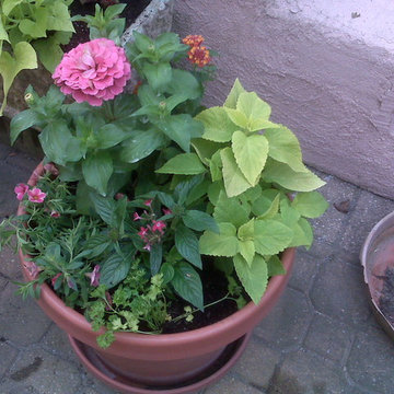 Container Gardens