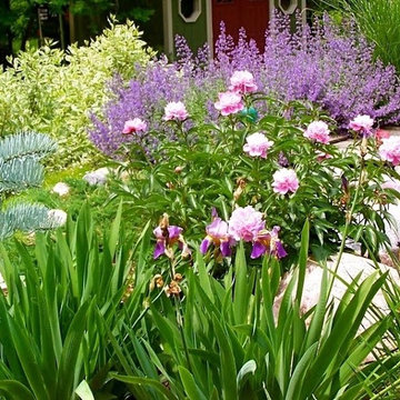 Spring plantings