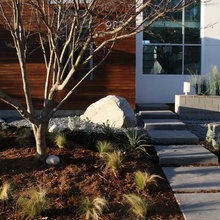 Residential Landscape