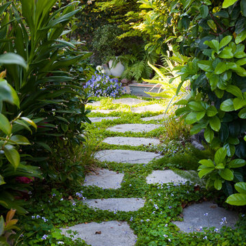 Transitional small garden
