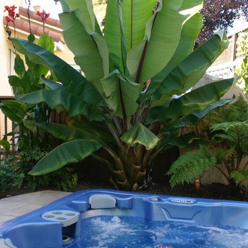 Water Features