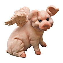 Pigs