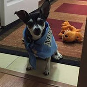 Dean Silbert's photo