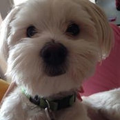 Jenny Thriskos's photo