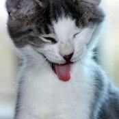 Michael Schwab's photo
