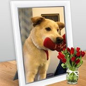 Michael English's photo