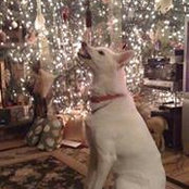 Lisa Lahey's photo
