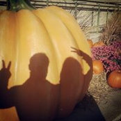 Marie-Pier Audet's photo
