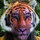 Tigre Pickett
