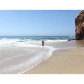 Sarah Hall's photo