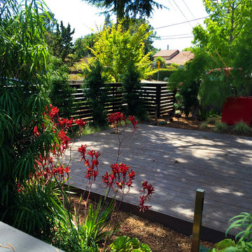 Master Suite Privacy: A Front Yard Transformed