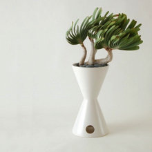 Planters