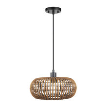 Florida Dining Room Light