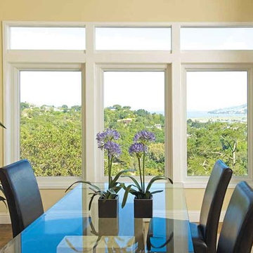 Specialty Windows