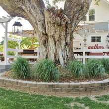 outdoor spaces