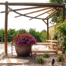 Patio Ideas