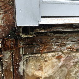 shiplap siding - Products