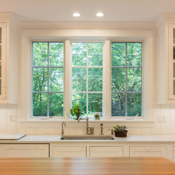 Evanston Kitchen Addition & Renovation