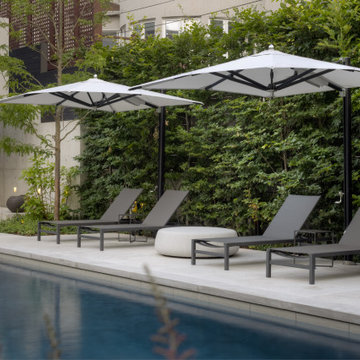 Forest Hill Modern Backyard