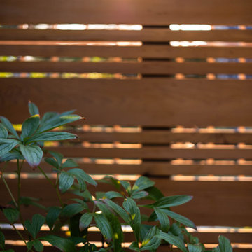 Urban Courtyard