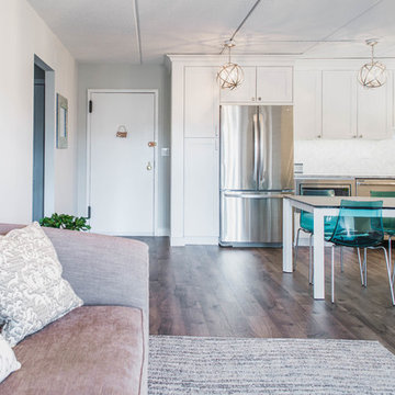 Full Apartment remodel in Harrison NY