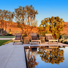 Xeriscape