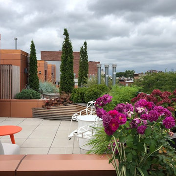 Brooklyn Rooftop 11