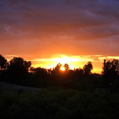 Jamie Sewell's photo