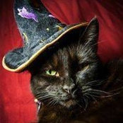 Chantal Levasseur's photo