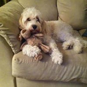 Ben Stasik's photo