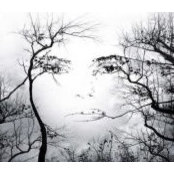 Minnah Ibrahim's photo