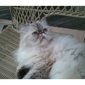 Sharon Zeto's photo