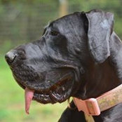 Kelly Moeller's photo